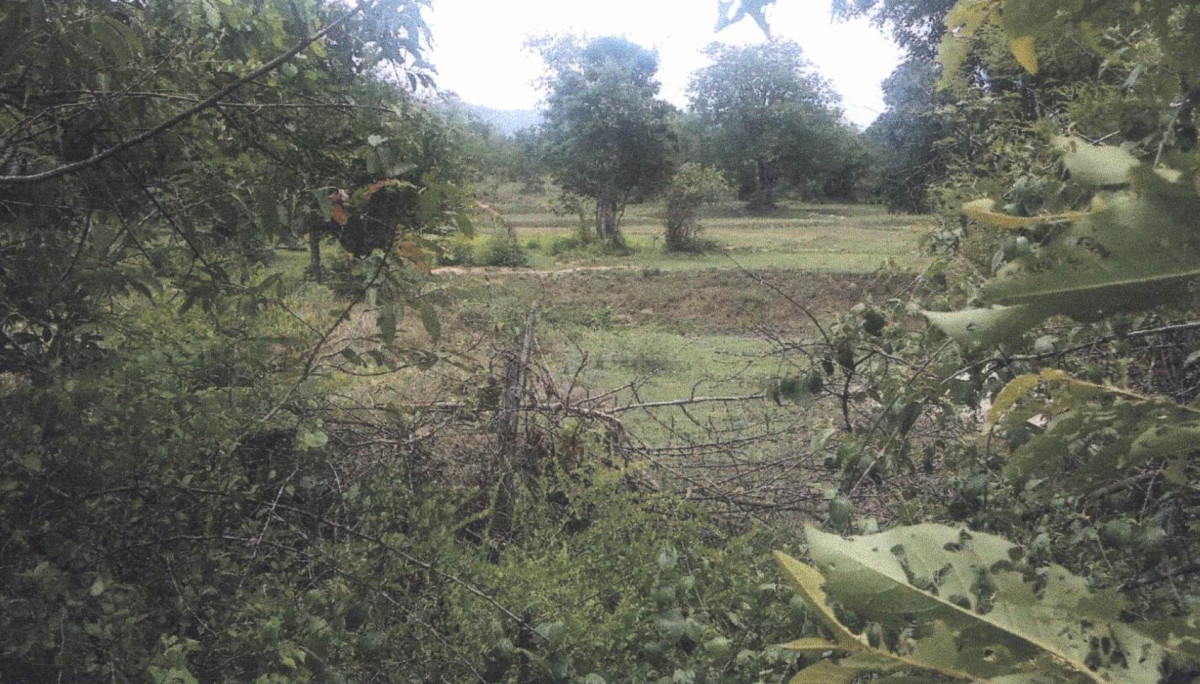Residential land/lot Lampang Thoen Lom Raet 66500