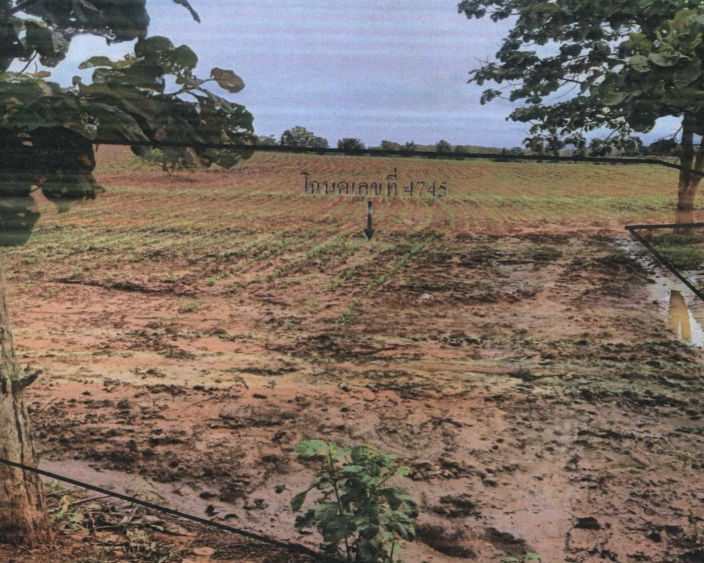 Residential land/lot Uttaradit Fak Tha Song Hong 153150