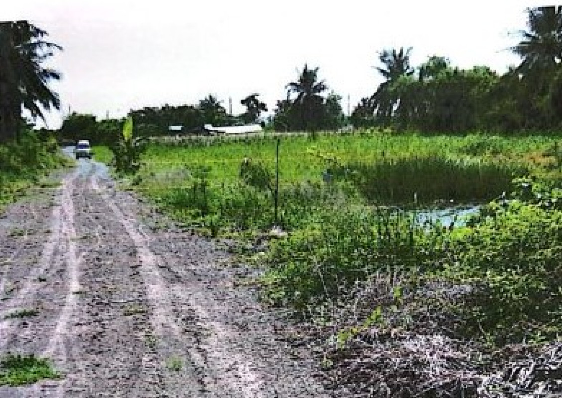 ที่ดินเปล่า นนทบุรี บางบัวทอง บางบัวทอง 1435000