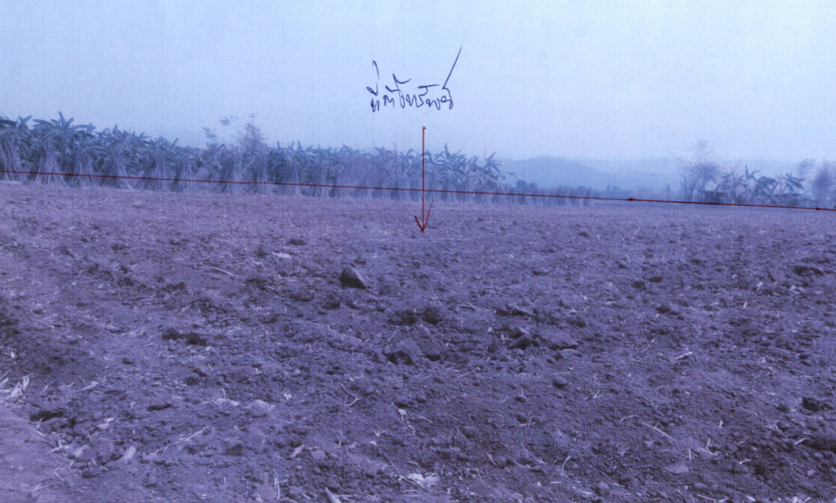 Residential land/lot Phetchabun Nong Phai Bo Thai 65520