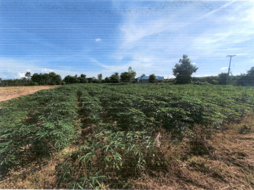 Residential land/lot Kalasin Don Chan Don Chan 92000