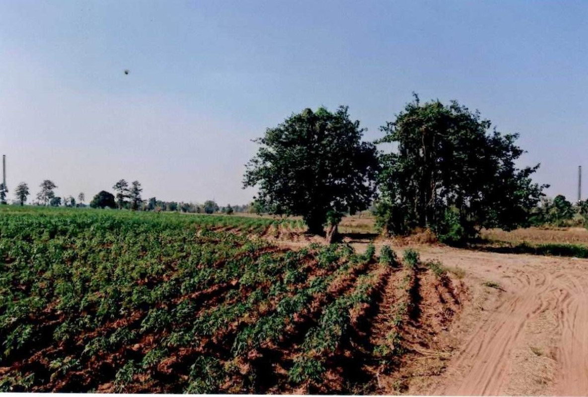 Residential land/lot Nakhon Ratchasima Thepharak Samnak Takhro 1179750