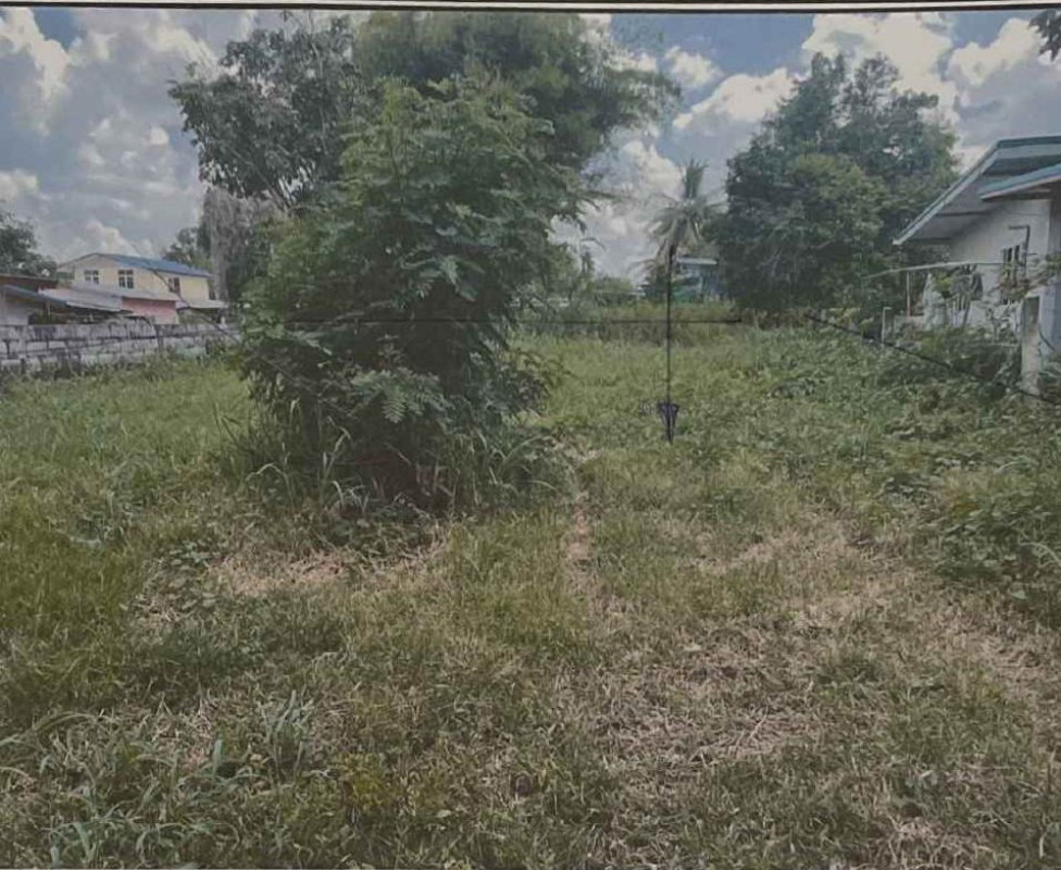 Residential land/lot Nakhon Ratchasima Dan Khun Thot Phan Chana 7620