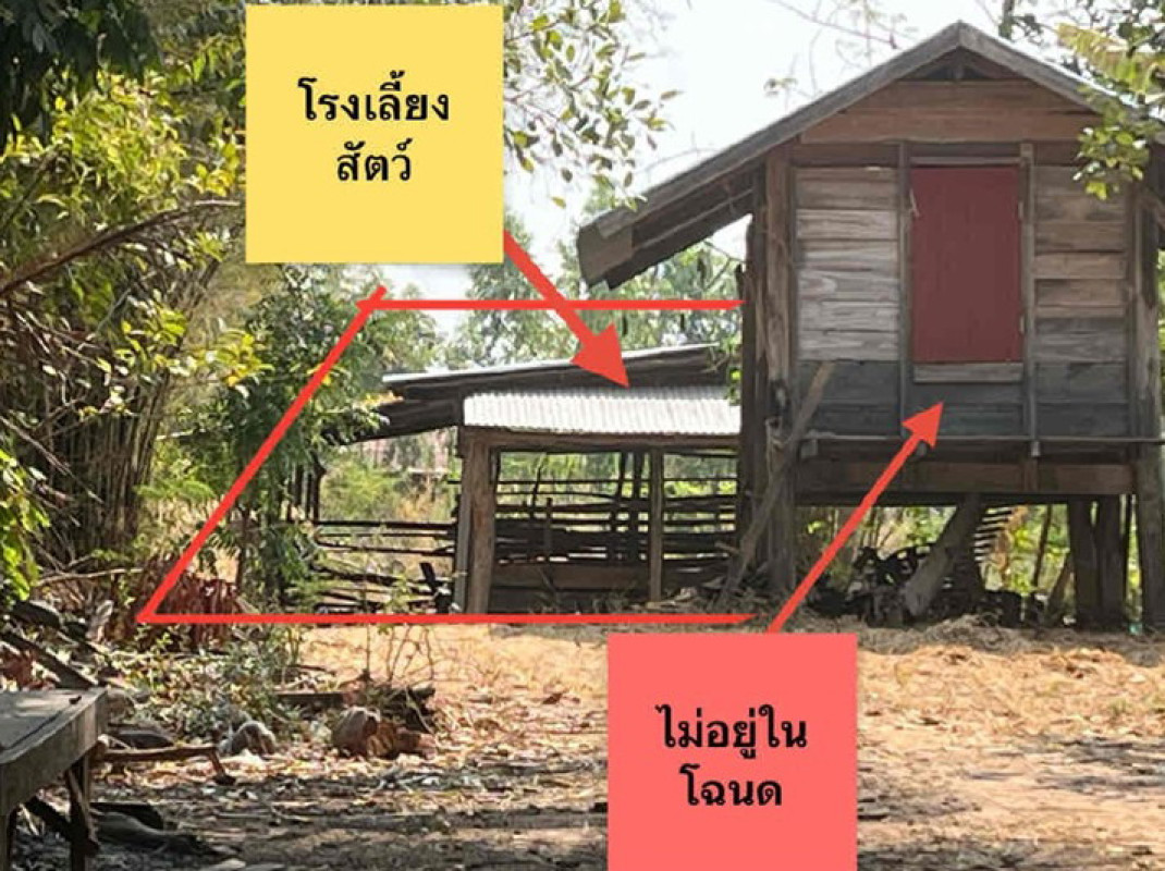 บ้านเดี่ยว อำนาจเจริญ เมืองอำนาจเจริญ คึมใหญ่ 252320