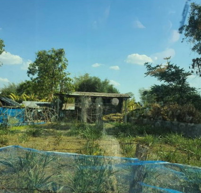Residential land/lot Roi Et Pathum Rat Dok Lam 241500