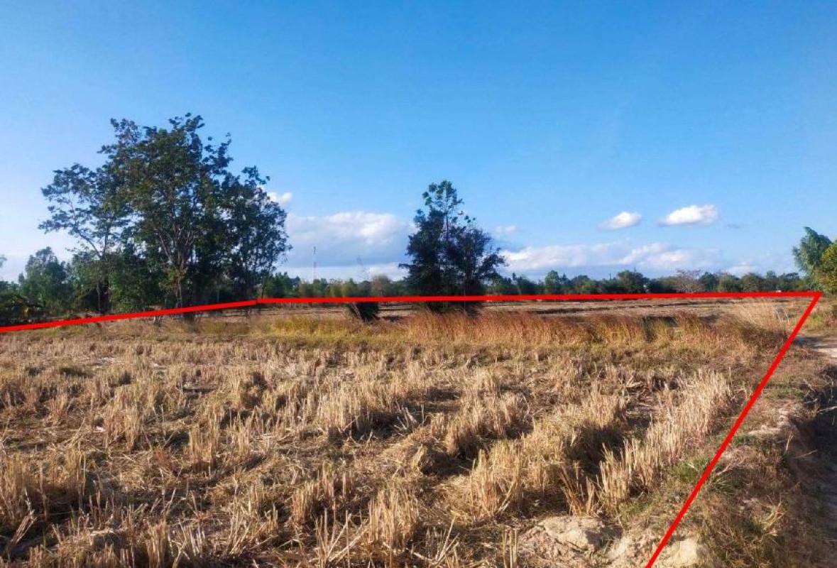 Residential land/lot Amnat Charoen Lue Amnat Dong Bang 629850