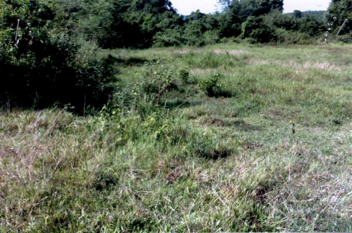 Residential land/lot Songkhla Thepha Pak Bang 239480