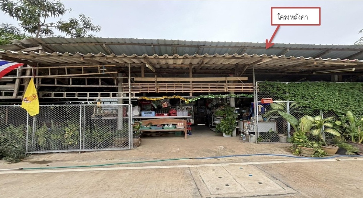 บ้านเดี่ยว ราชบุรี โพธาราม หนองโพ 501480