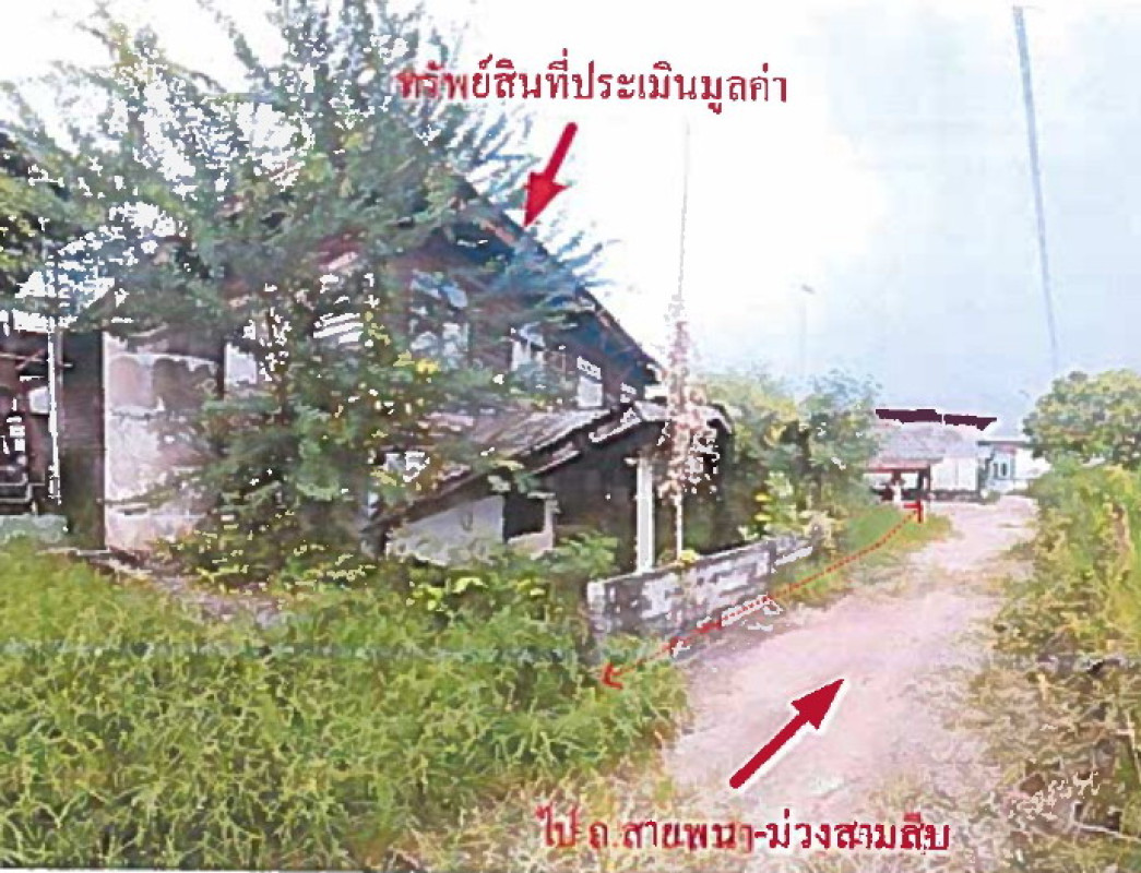 Single house Amnat Charoen Phana Chan Lan 621300