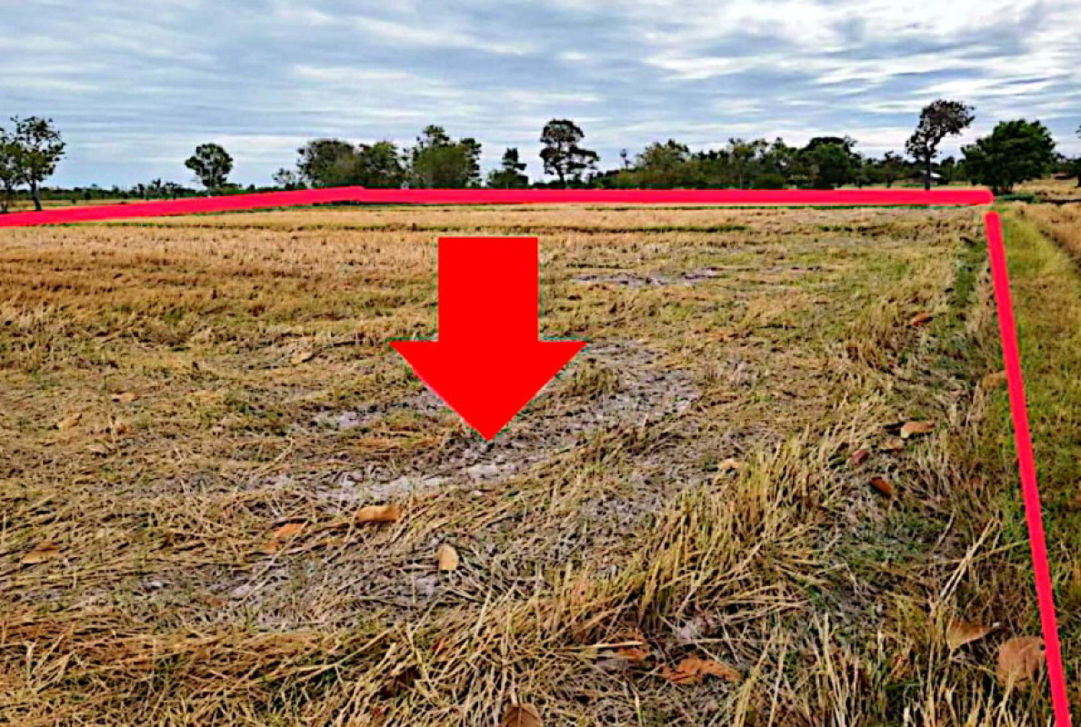 Residential land/lot Amnat Charoen Hua Taphan Sang Tho Noi 56080
