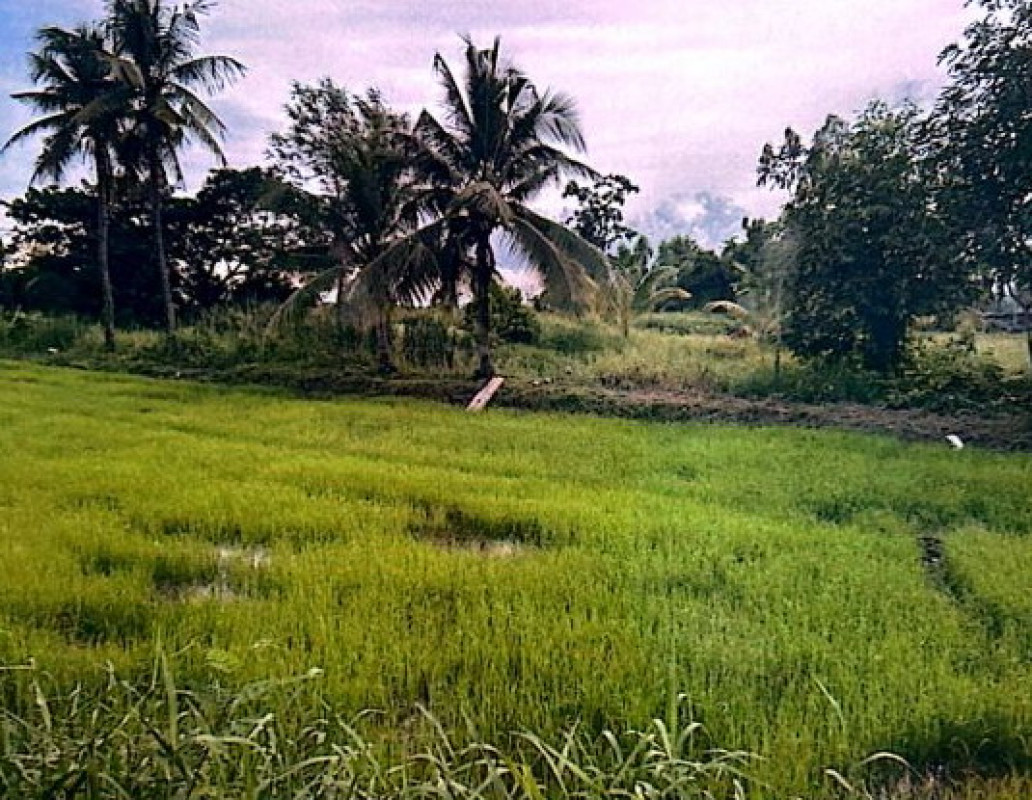 Residential land/lot Khon Kaen Mueang Khon Kaen Don Han 646720