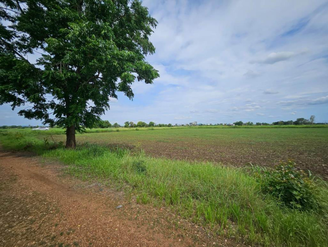 Residential land/lot Phetchabun Si Thep Sa Kruat 1405490