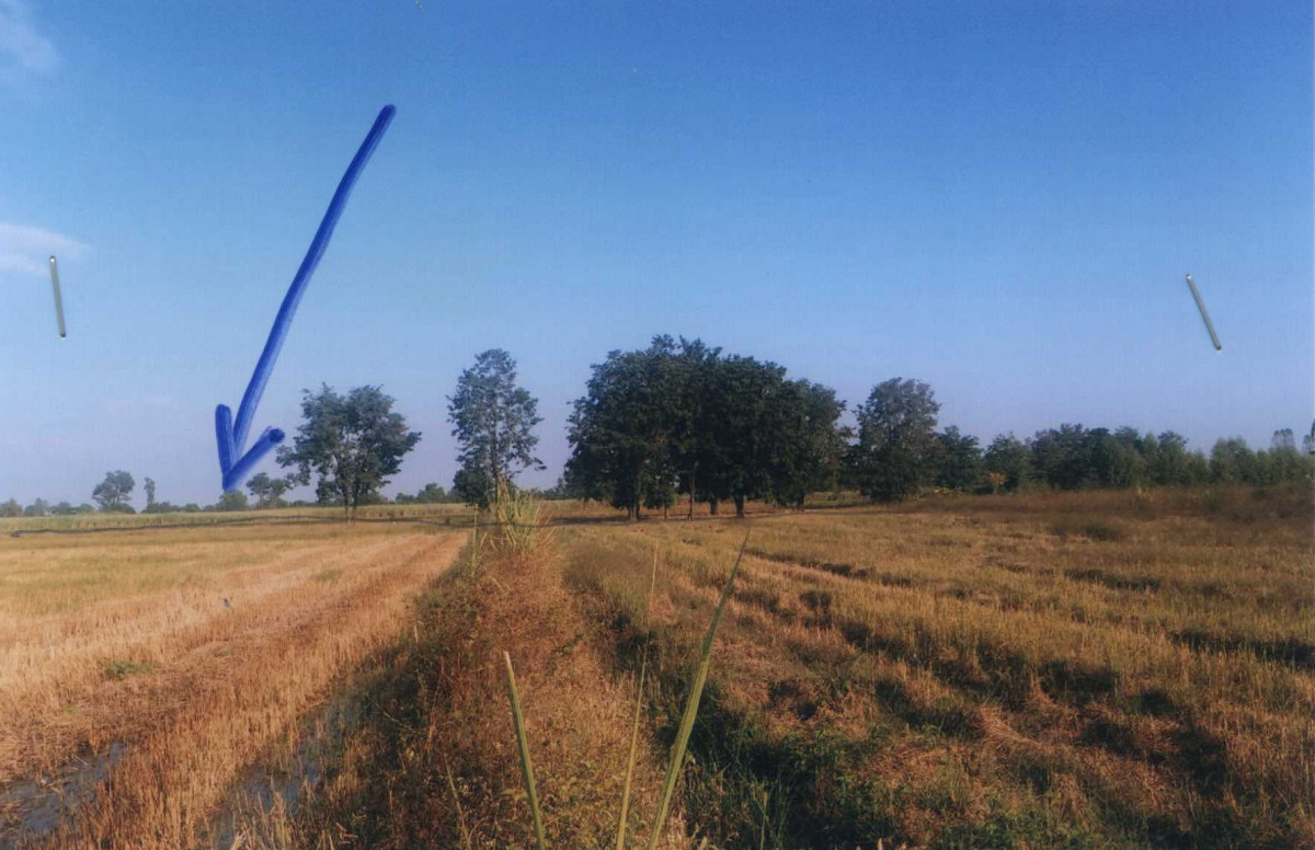 Residential land/lot Phitsanulok Bang Rakam Nong Kula 193290