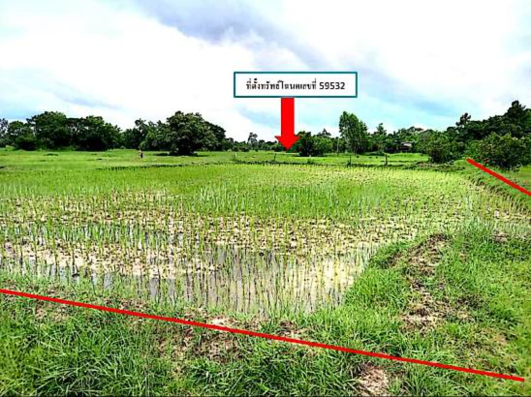 ที่ดินเปล่า อุบลราชธานี เมืองอุบลราชธานี ปะอาว 48600