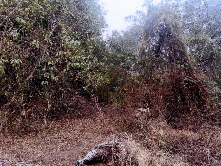 Residential land/lot Sakon Nakhon Phon Na Kaeo Chiang Sue 37490