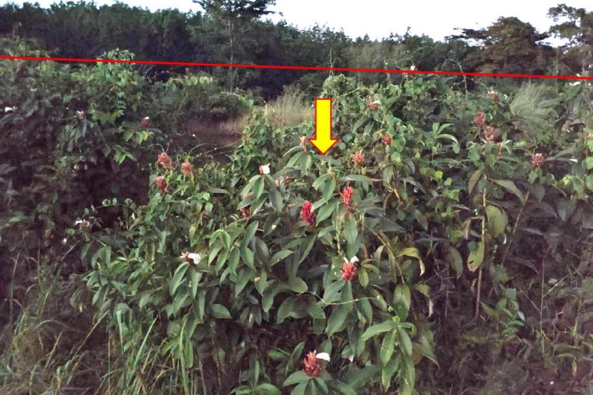 Residential land/lot Sakon Nakhon Mueang Sakon Nakhon Non Hom 102500