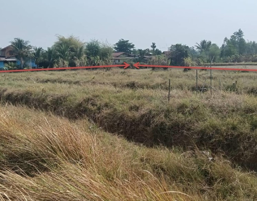 Residential land/lot Sakon Nakhon Phanna Nikhom Sawang 295710