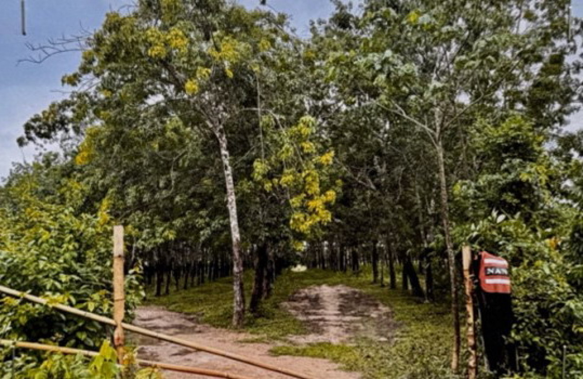 Residential land/lot Uthai Thani   854905