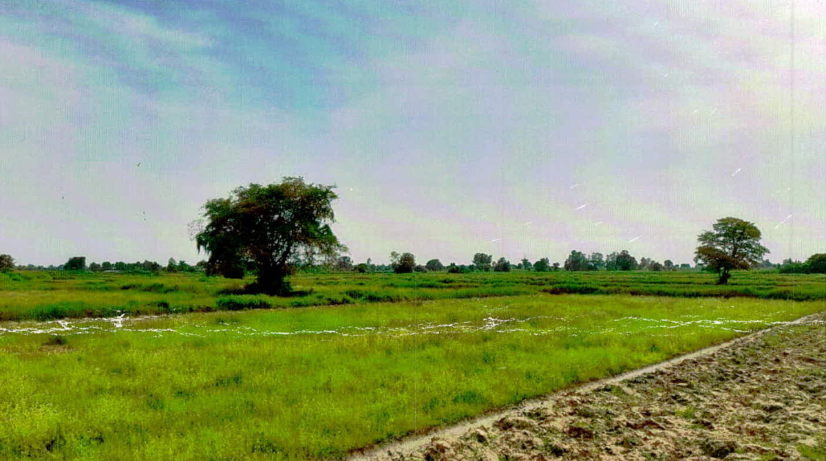 ที่ดินเปล่า ร้อยเอ็ด โพนทอง นาอุดม 840000