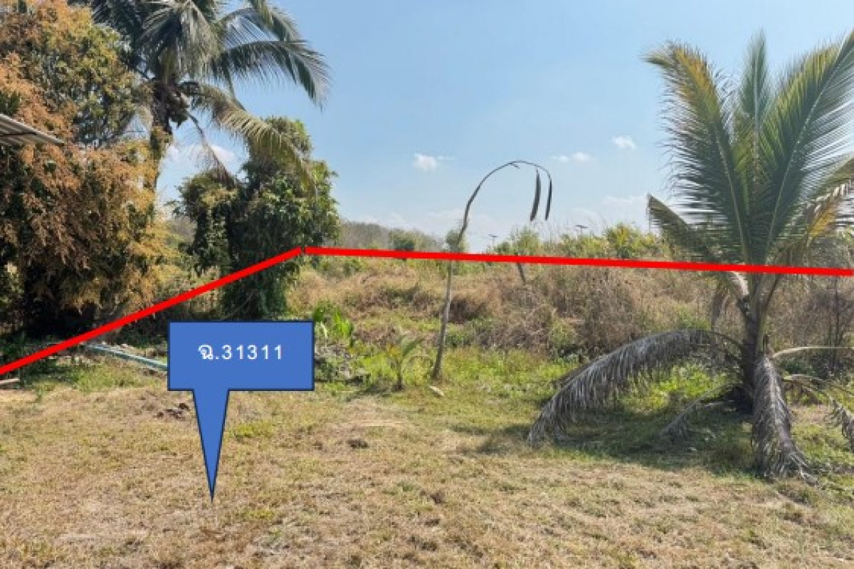 Residential land/lot Chiang Mai Fang Mae Kha 1633335