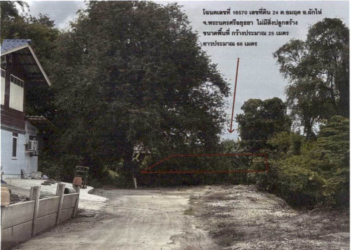Residential land/lot Phra Nakhon Si Ayutthaya Phak Hai Ammarit 108570
