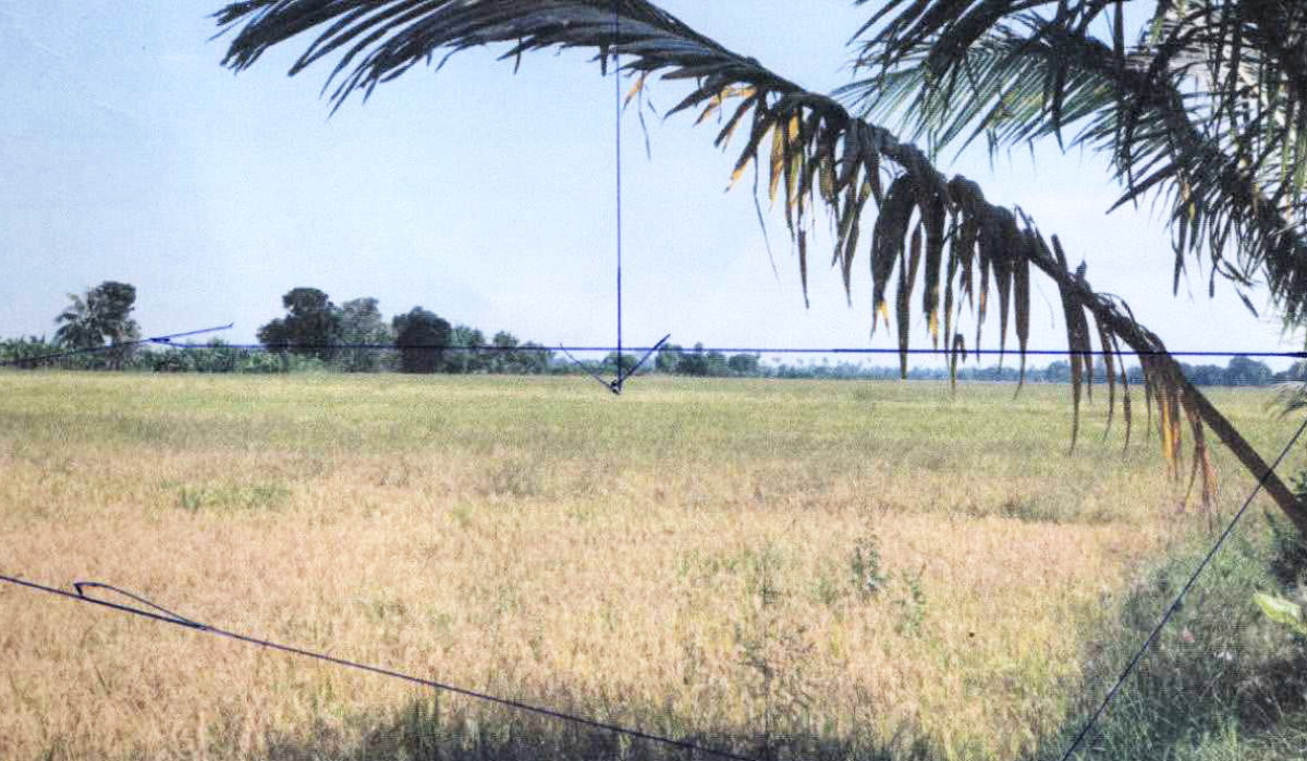 Residential land/lot Nakhon Ratchasima Pak Thong Chai Tum 72800