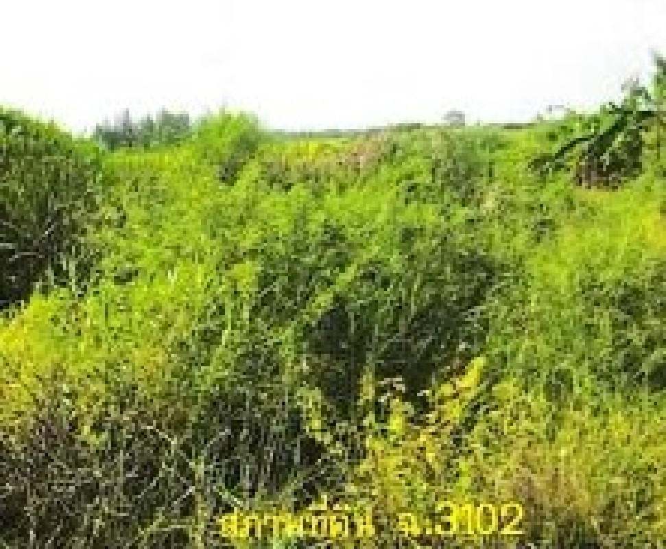 ที่ดินเปล่า นนทบุรี ไทรน้อย ไทรน้อย 20017500