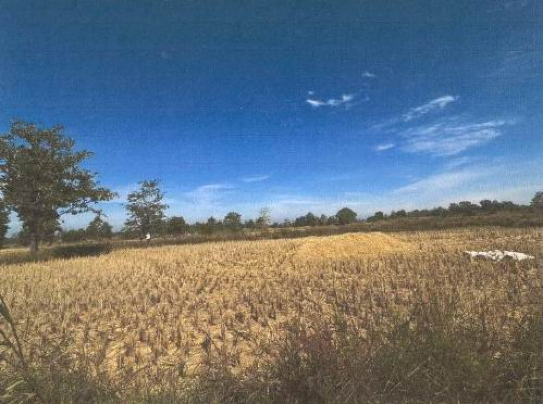 Residential land/lot Nakhon Phanom Na Wa Na Khun Yai 175500