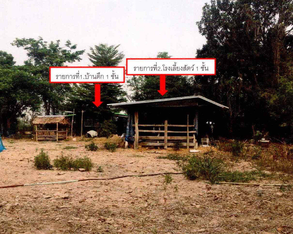 บ้านเดี่ยว ศรีสะเกษ ราษีไศล ส้มป่อย 216523
