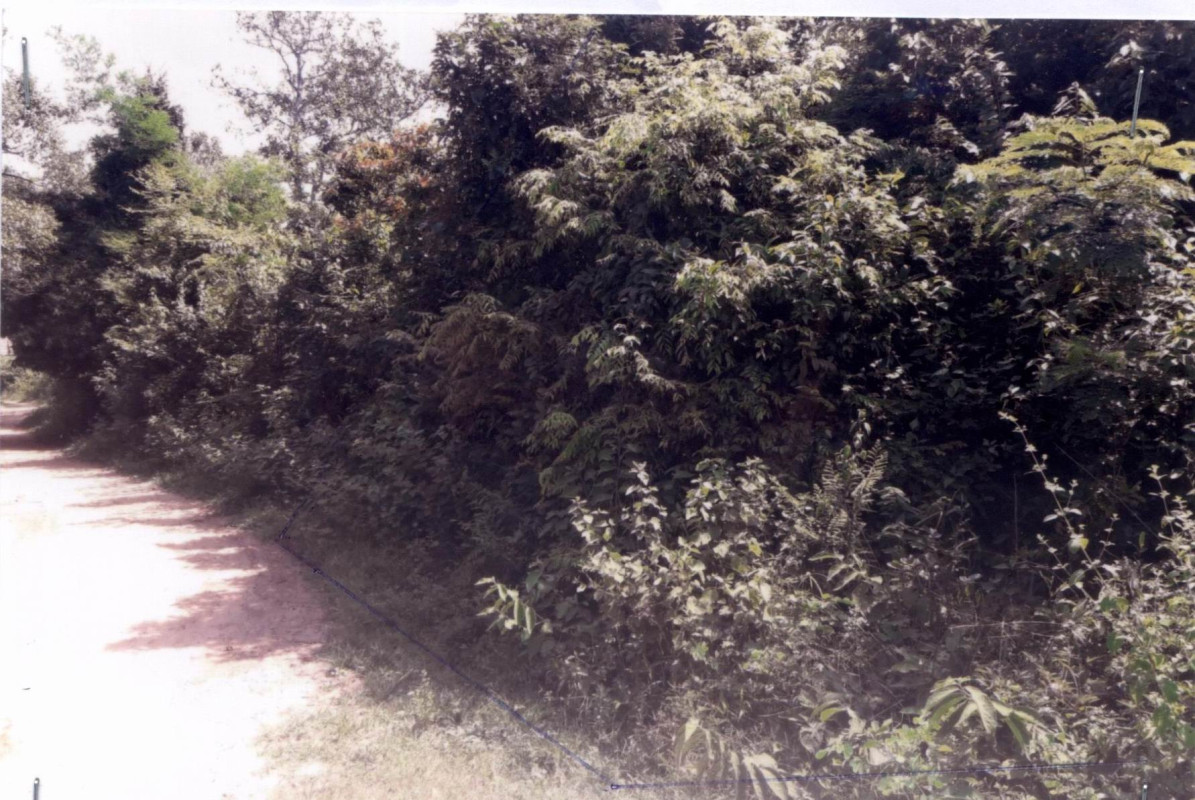Residential land/lot Ubon Ratchathani Mueang Ubon Ratchathani Kham Yai 102000