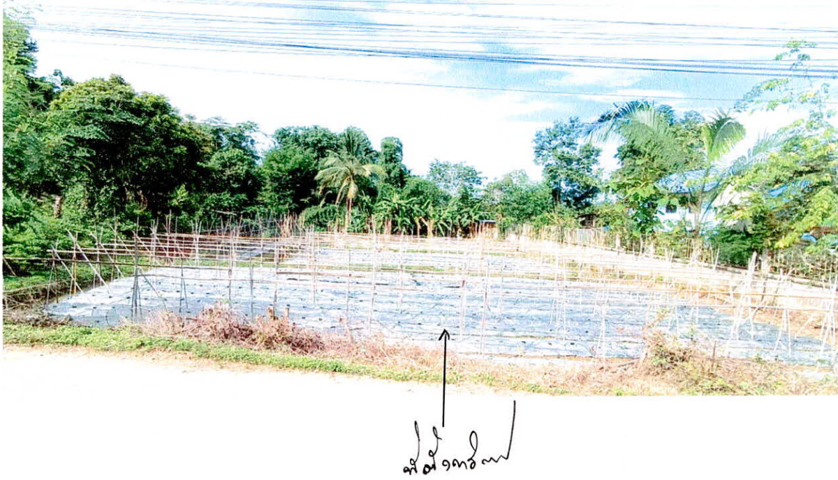 Residential land/lot Nan Santi Suk Phong 1469340