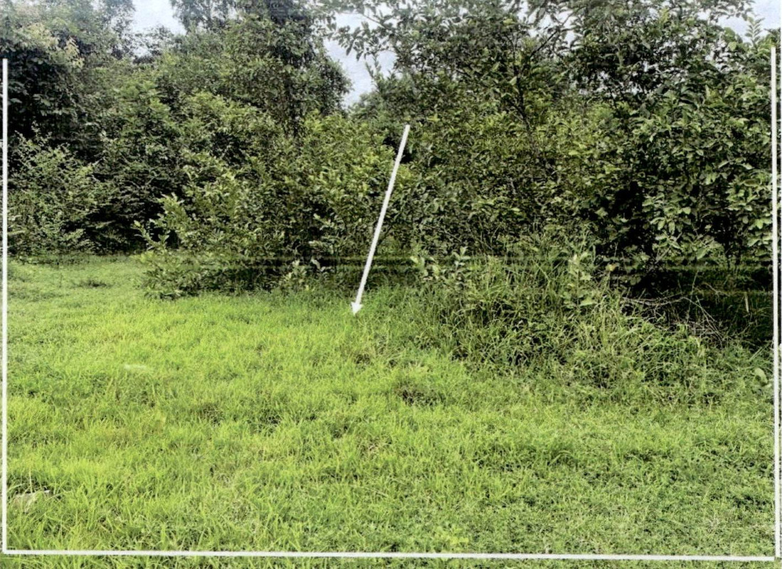 Residential land/lot Lampang Thoen Lom Raet 116900