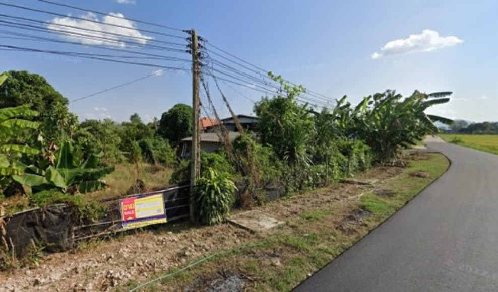 บ้านเดี่ยว บ้านเดี่ยว เชียงราย เชียงราย ป่าแดด ป่าแงะ 440000