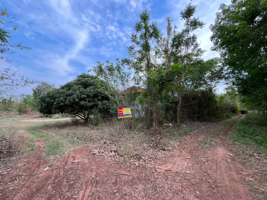 บ้านเดี่ยว บ้านเดี่ยว กาฬสินธุ์ กาฬสินธุ์ คำม่วง ทุ่งคลอง 2940000