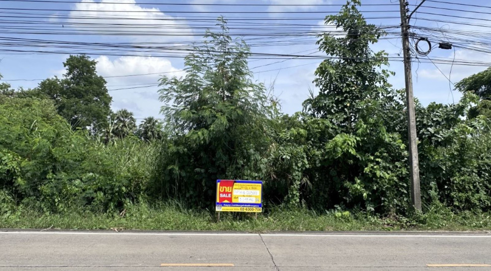Residential land/lot Pathum Thani Sam Khok Sam Khok 14627000