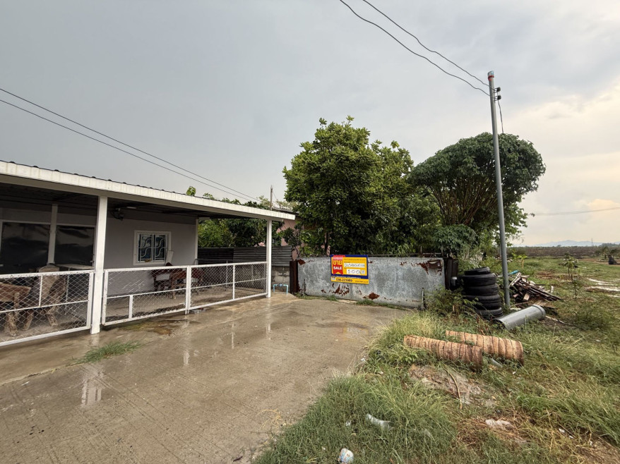 บ้านเดี่ยว บ้านเดี่ยว สระบุรี สระบุรี วังม่วง วังม่วง 0