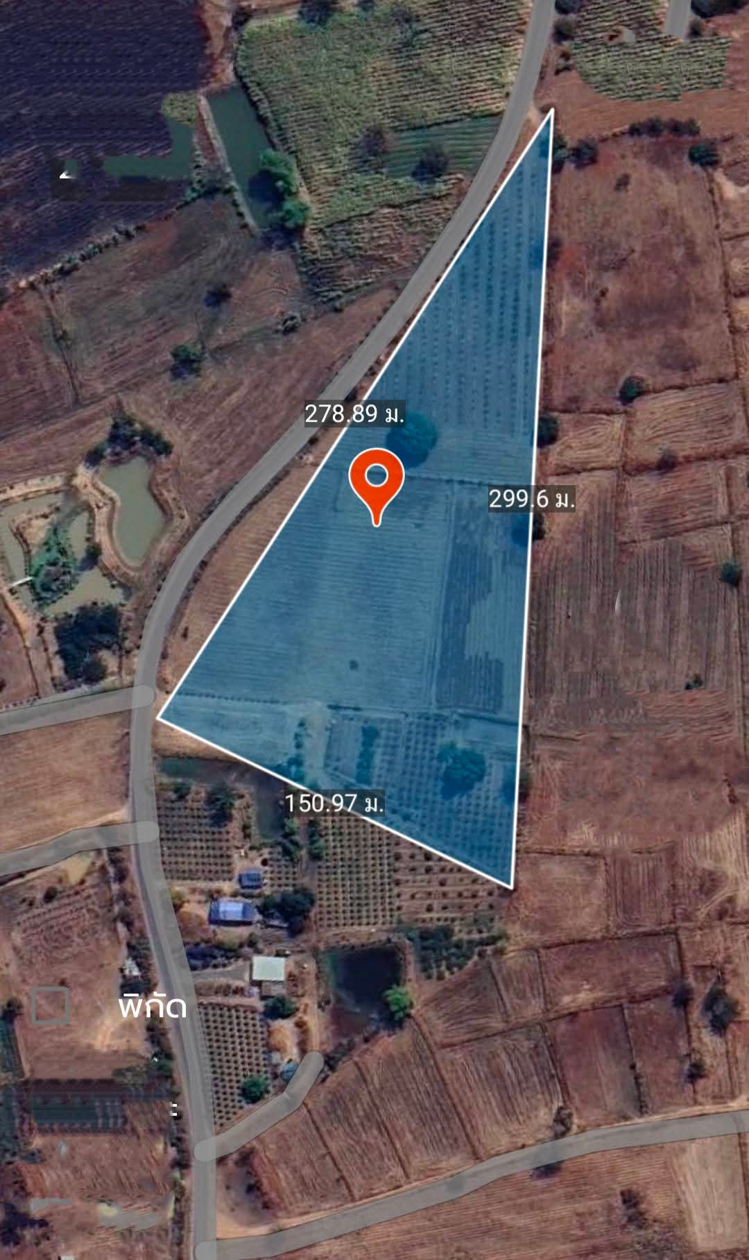 Residential land/lot Nakhon Ratchasima Sikhio Wang Rong Yai 5667000