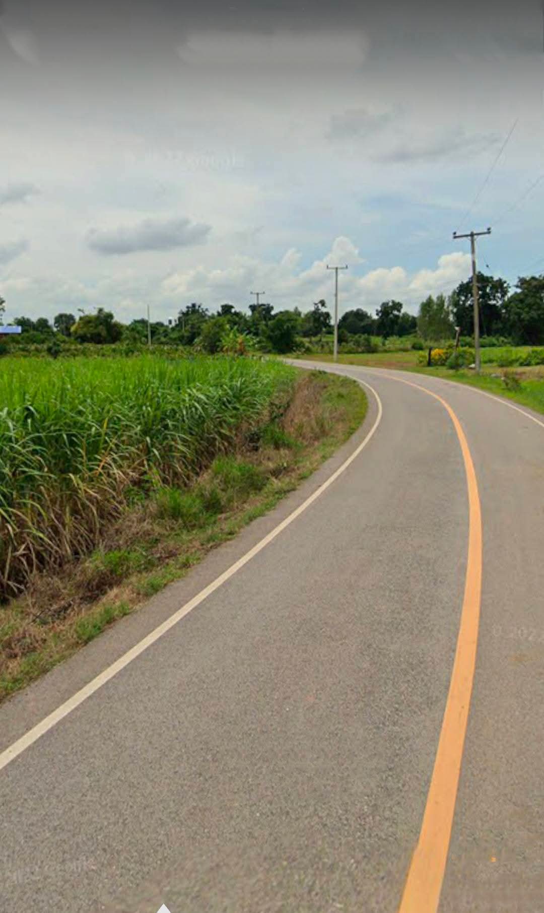 Residential land/lot Nakhon Ratchasima Sikhio Wang Rong Yai 5667000