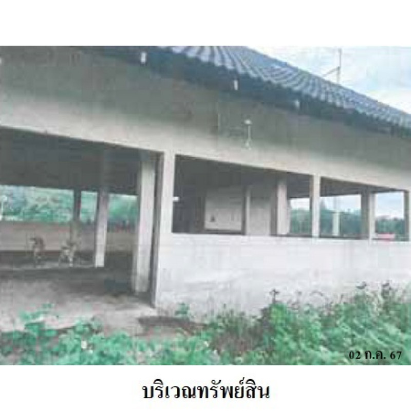 อื่นๆ สงขลา จะนะ คู 34210000