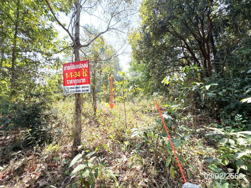 ที่ดินเปล่า อุบลราชธานี พิบูลมังสาหาร โพธิ์ศรี 267000