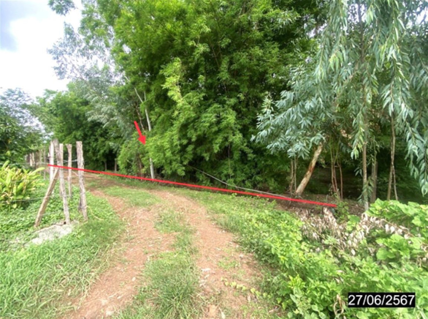 ที่ดินเปล่า อุดรธานี เพ็ญ บ้านธาตุ 313000