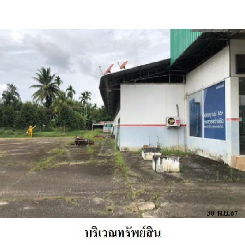 Misc. Trang Ratsada Khlong Pang 13409900