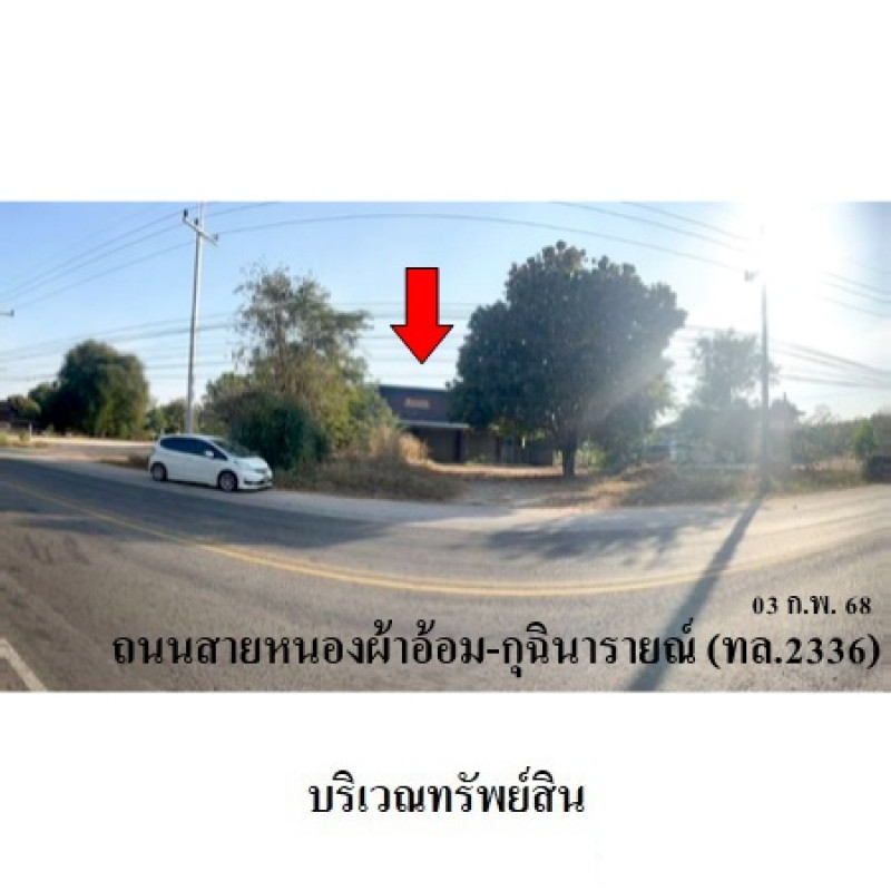 Plant/Storage Kalasin Kuchinarai Sam Kha 8946600