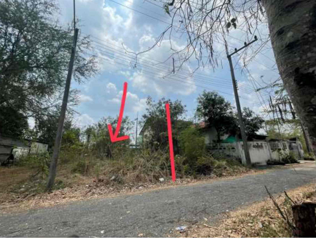 ที่ดินเปล่า ปทุมธานี หนองเสือ บึงบอน 107250
