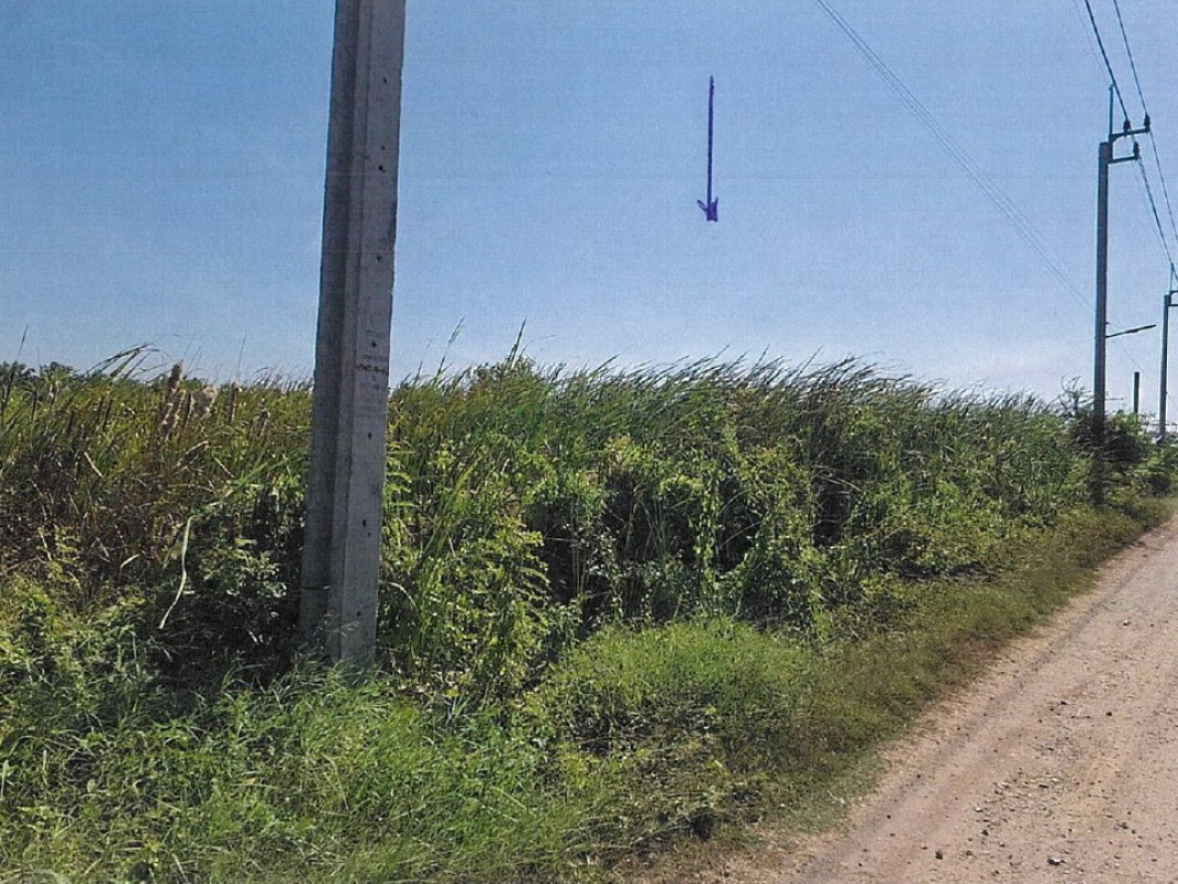 Residential land/lot Bangkok Nong Chok Khu Fang Nuea 464100