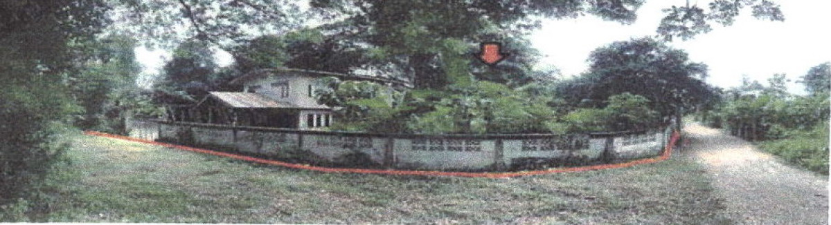 Single house Phrae Rong Kwang Mae Yang Tan 1333340