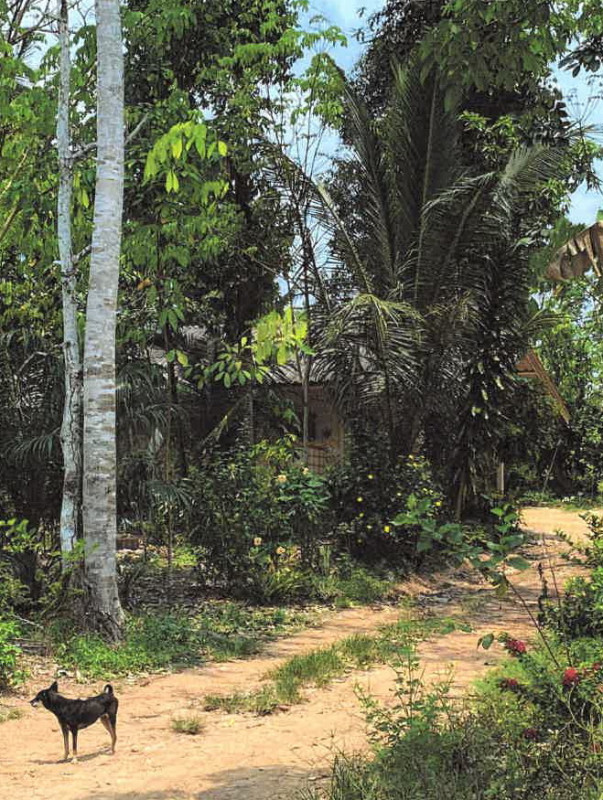 Single house Surat Thani Tha Chang Pak Chalui 3739134