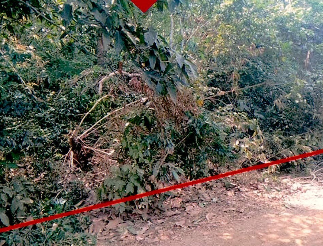 Residential land/lot Si Sa Ket Kanthararom Tham 117793