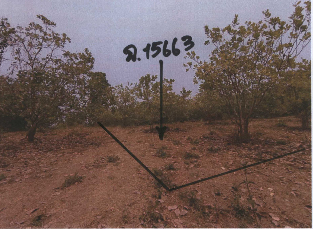 Residential land/lot Uttaradit Mueang Uttaradit Wang Din 117500
