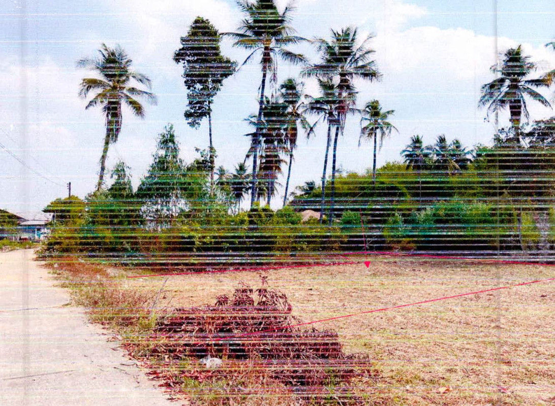 Residential land/lot Si Sa Ket Phayu Non Phek 51480